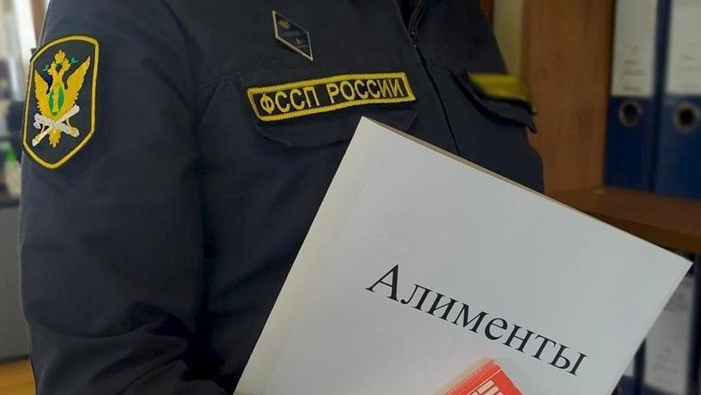 В России начнет действовать реестр должников по алиментам.