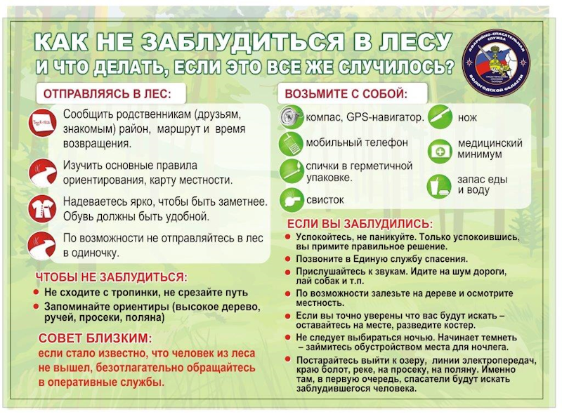 Как не заблудиться в лесу?.