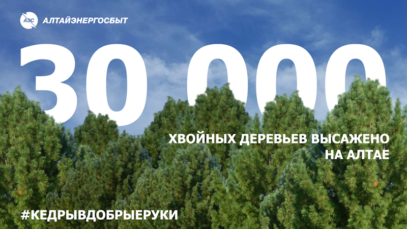 БЛАГОДАРЯ АКЦИИ ЭНЕРГЕТИКОВ «КЕДРЫ В ДОБРЫЕ РУКИ» НА АЛТАЕ ВЫСАЖЕНО 30 000 ХВОЙНЫХ ДЕРЕВЬЕВ.