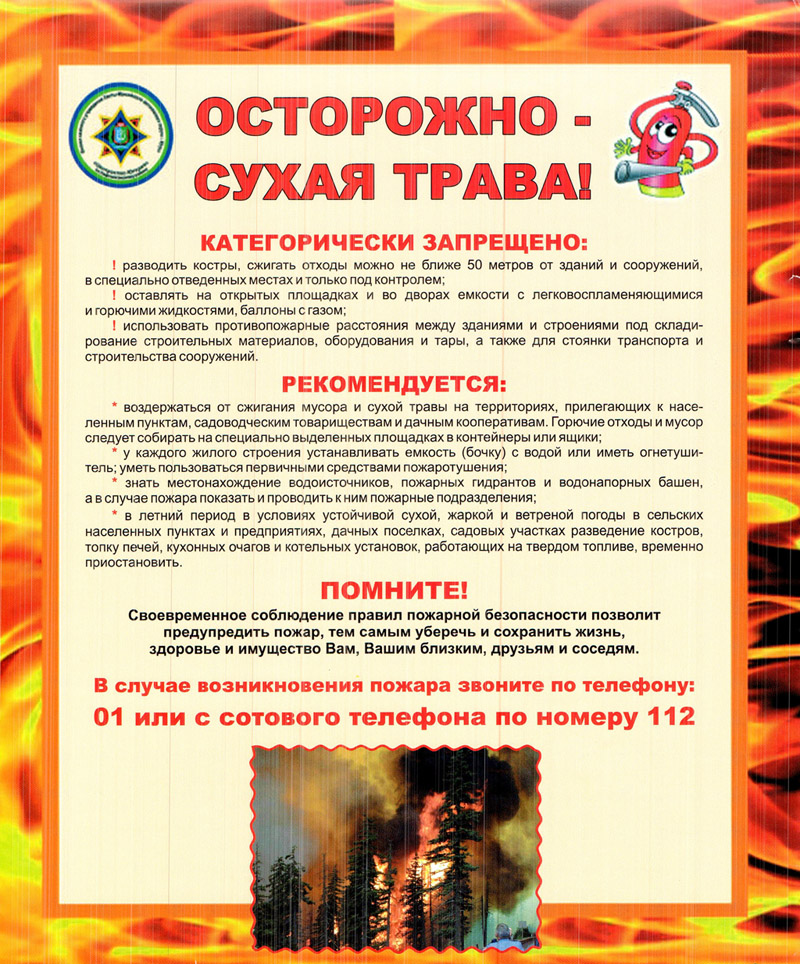 Осторожно - сухая трава!.