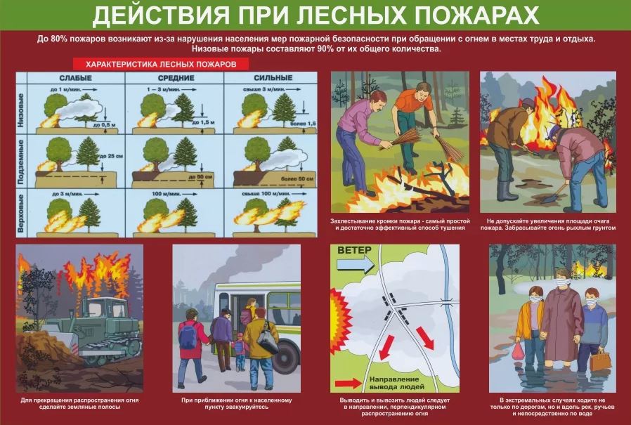 ПАМЯТКА населению по действиям при возникновении лесного пожара.
