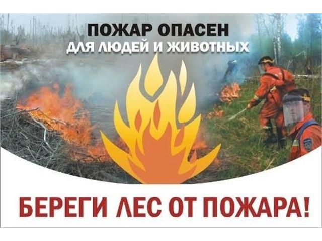 ПАМЯТКА по профилактике лесных и торфяных пожаров.