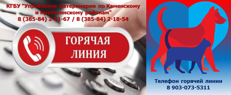 Контактные данные Управления ветеринарии по Каменскому и Крутихинскому районам. Контактные данные Управления ветеринарии по Каменскому и Крутихинскому районам.